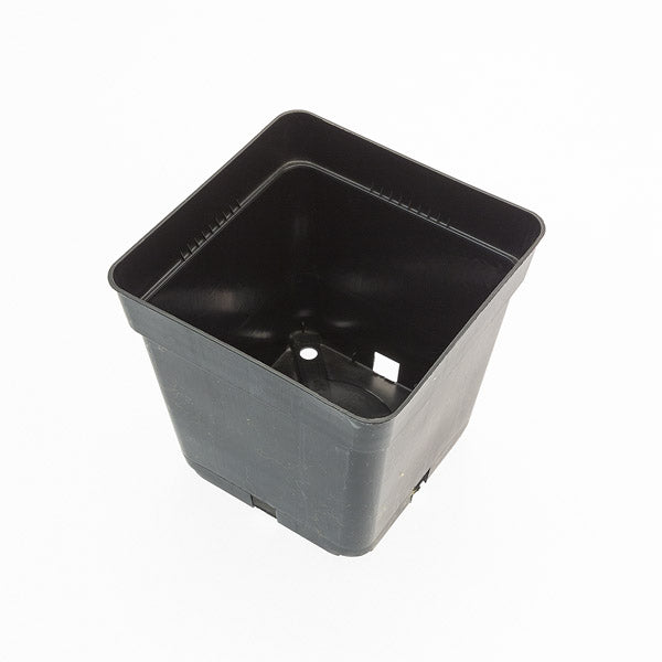 Square Pot 0.25ltr