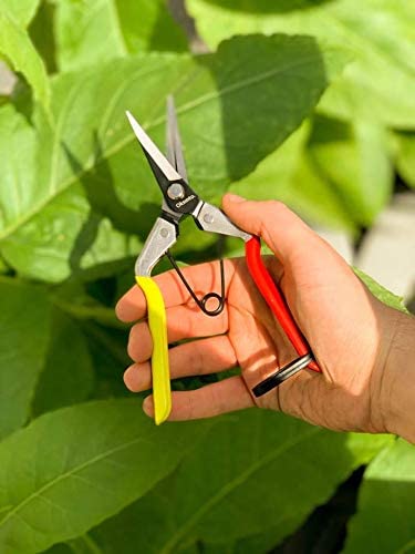 Oksinto Pruning Scissors PRO H420