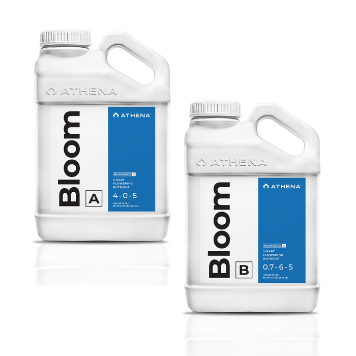 Athena Blended - Bloom A + B