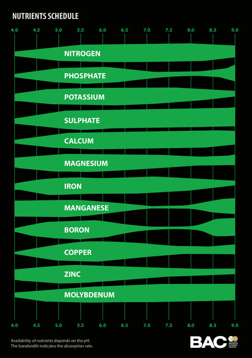 BAC - pH Up (1L)