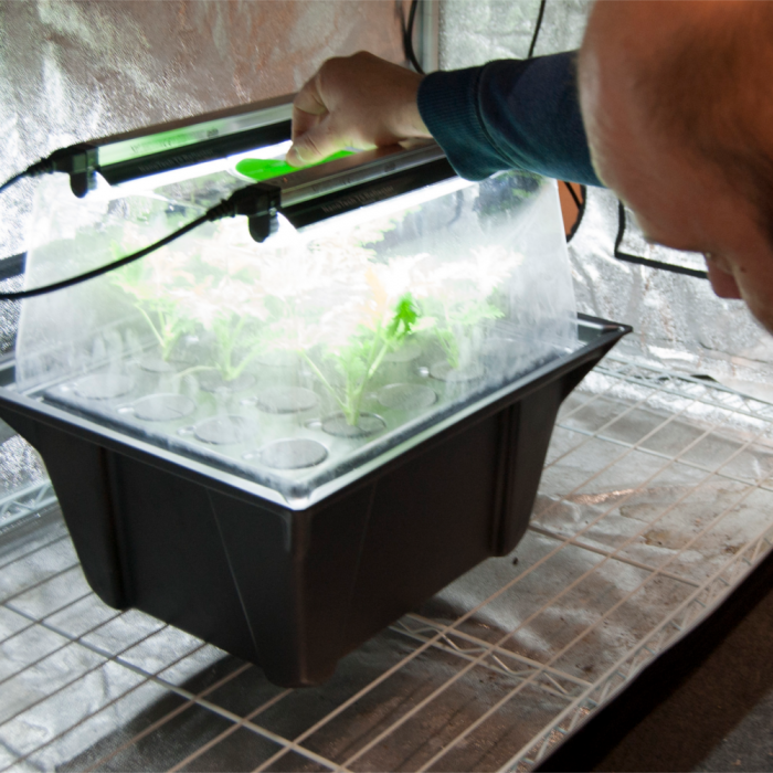 X-Stream 20 Site Aeroponic Propagator